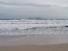 -广东惠东海龟国家级自然保护区