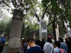 -赵州桥景区