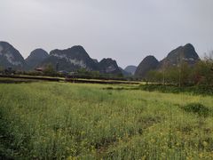 -靖西鹅泉风景区