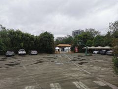 -巴山·烤全羊(高新总店)