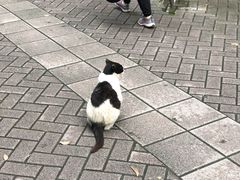 -静安公园(静安寺街道)