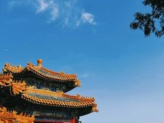 -颐和园