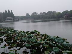 -雨湖公园