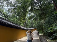 -宝通禅寺