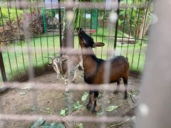 -西双版纳融创皇冠假日度假酒店