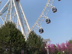 -济南国际园博园