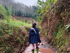 -西双版纳基诺山寨