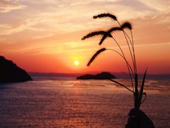 -枸杞岛