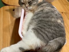 -藦茜花园宠物主题亲子互动体验馆(国顺东路店)