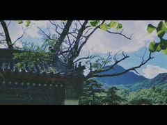 -北京鹫峰国家森林公园
