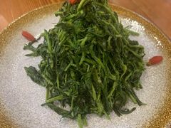 清香枸杞苗-国强手抓(北京西路店)