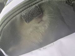 -北京观赏动物医院·24小时大型综合·猫专科·异宠专科