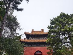 -沈阳市东陵公园