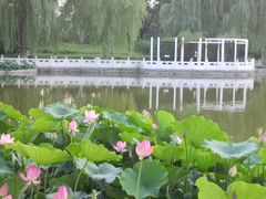 -丰台花园