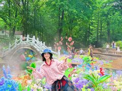 -洛阳白云山景区