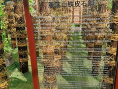-宏泰园蔬果专业合作社