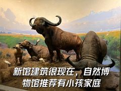 -美国自然历史博物馆