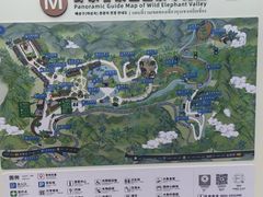 -野象谷景区