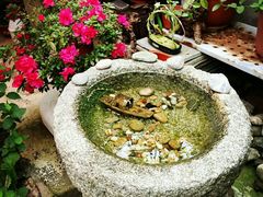 android_upload_pic-宅院