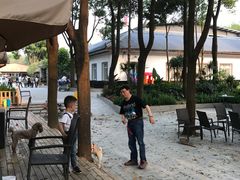 -锦尚家宴