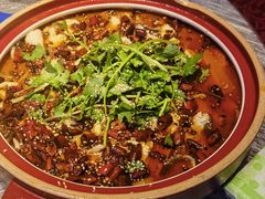 -阿财老铺·凤阳土菜馆