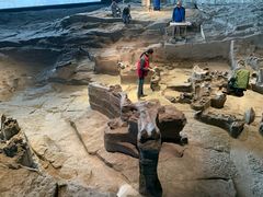 -自贡恐龙博物馆