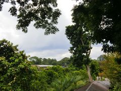 河川一隅-河川生态园