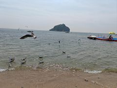 -棒棰岛宾馆景区
