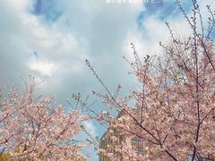 -南翔镇银翔湖公园