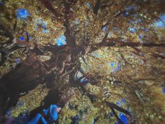 -厦门方特东方神画