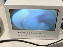 -瑞派动物医院·绝育·犬猫全科·预防医学(光景江南中店)