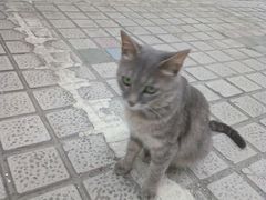 -南渝食府.墨脱石锅松茸鸡