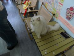 -汪说·狗咖(旺城大厦店)