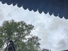 -王顺山国家森林公园