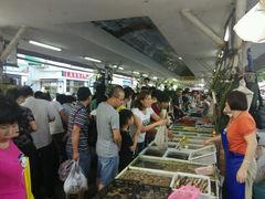 android_upload_pic-大湾区中央湿地公园-十九涌