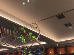 -臻品足道(佛祖岭店)