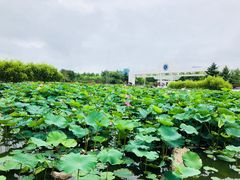 -日照职业技术学院