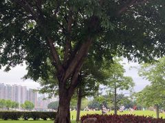 -二沙岛艺术公园