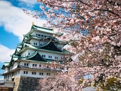 -名古屋城