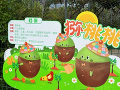-菊园百果园