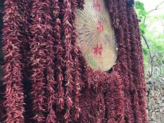 -竹泉村旅游度假区