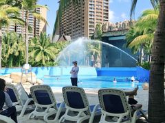 -三亚湾红树林度假世界(木棉酒店)