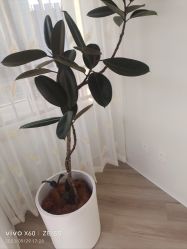 -HEYAN荷妍专业脱毛连锁机构