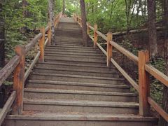 -五营红松林海景区