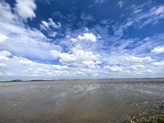 -上海吴淞炮台湾国家湿地公园