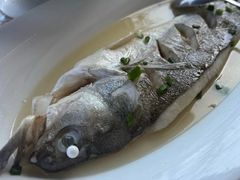 -虎哥私房菜(馒头山店)