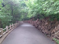 -北山公园