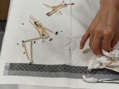-康成宠物医院24H·CT·核磁共振