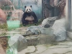 -苏州太湖国家湿地公园