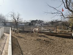 -丽泽山庄·生态怀柔菜·虹鳟鱼(红螺寺店)